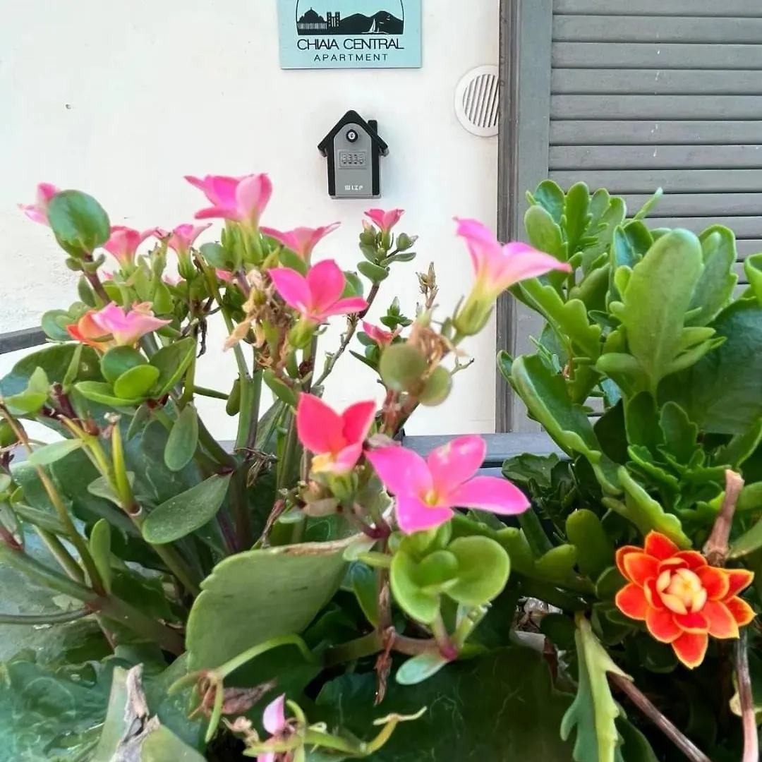Holiday home Chiaia Central Apartment Napoli
